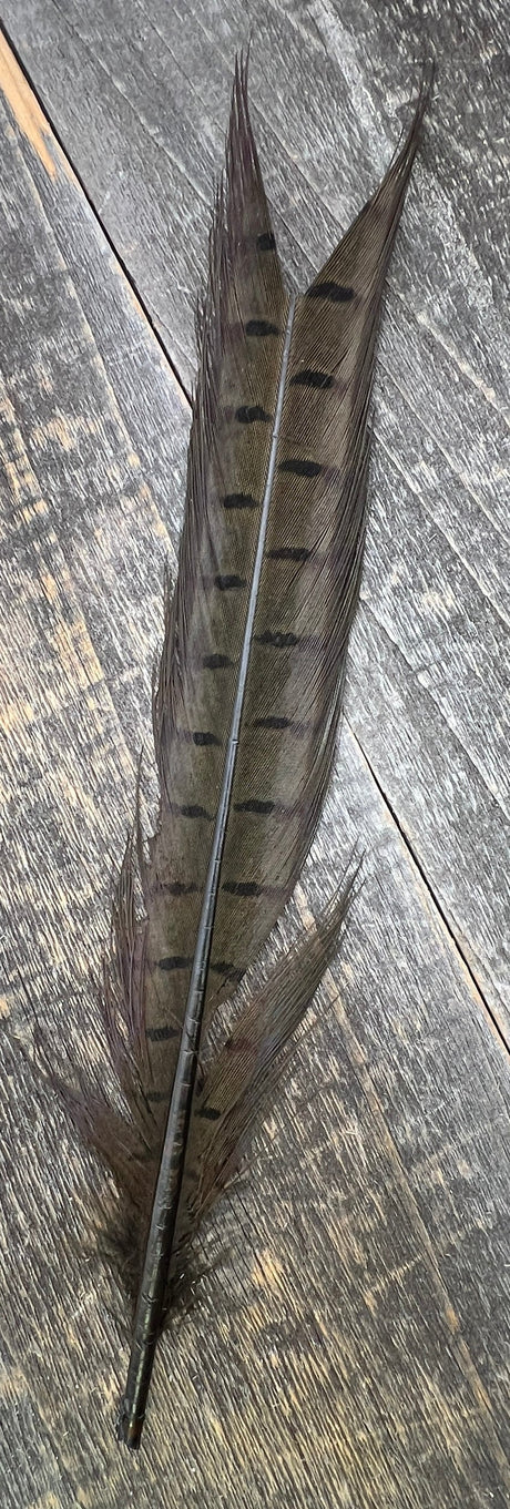 Ringneck Pheasant Tail Nymph Selection Saddle Hackle, Hen Hackle, Asst. Feathers