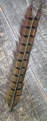 Ringneck Pheasant Tail Nymph Selection Saddle Hackle, Hen Hackle, Asst. Feathers