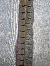 Ringneck Pheasant Tail Side Feathers Natural