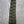 Ringneck Pheasant Tail Side Feathers Olive