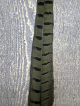 Ringneck Pheasant Tail Side Feathers Olive