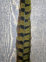 Ringneck Pheasant Tail Side Feathers "Picric" Green
