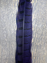 Ringneck Pheasant Tail Side Feathers Purple