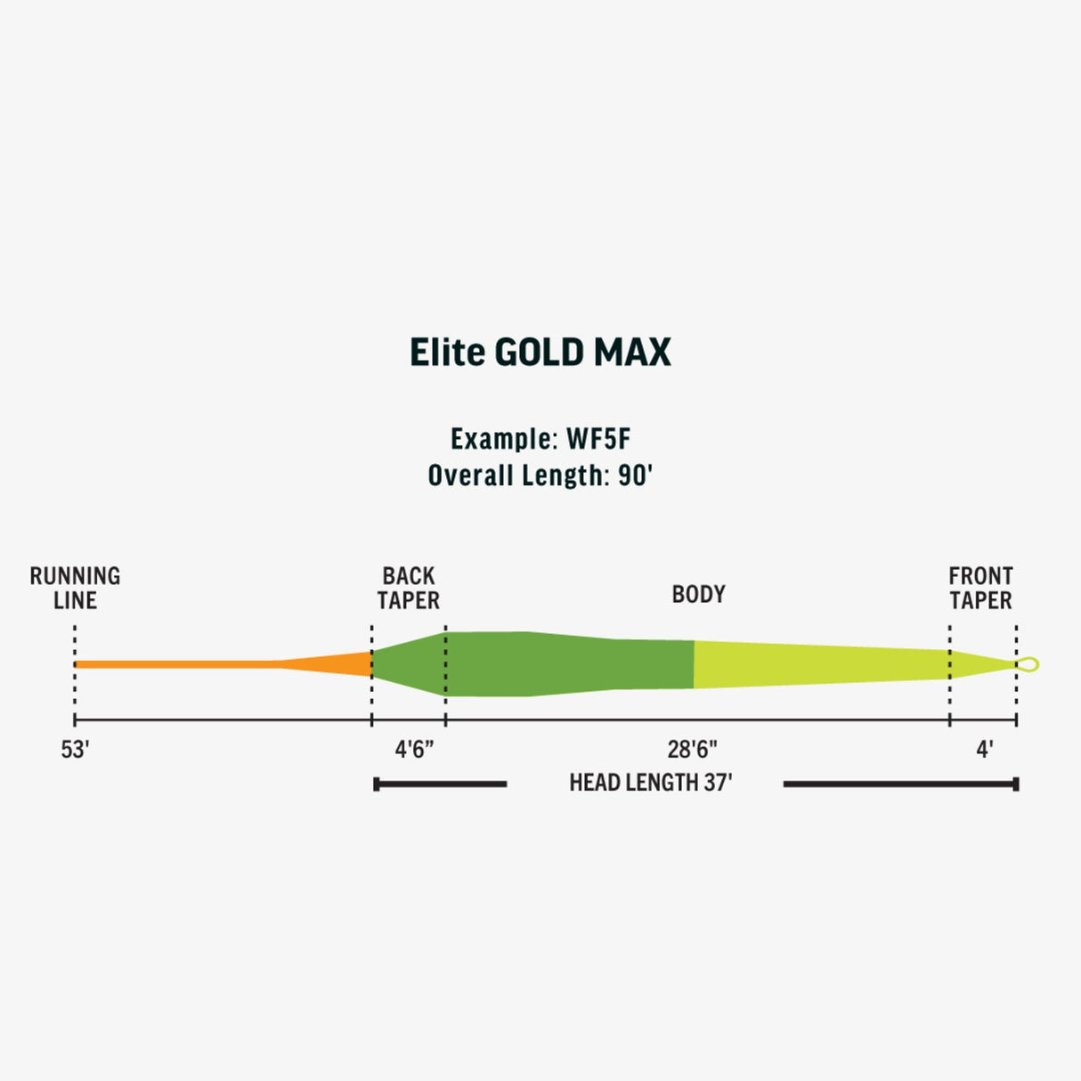 Rio Elite Gold Max Fly Line Fly Line