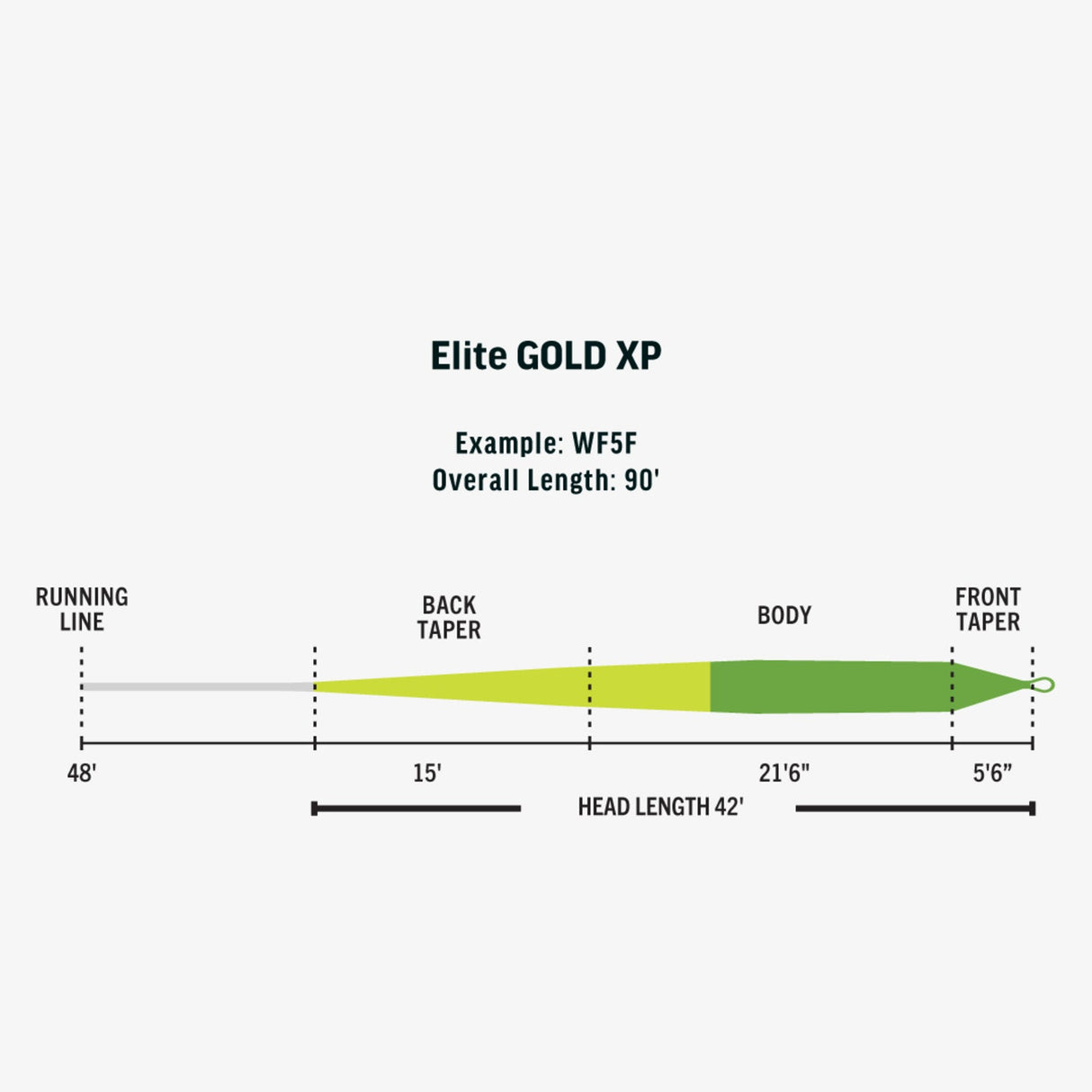 Rio Elite Gold XP Fly Line Fly Line