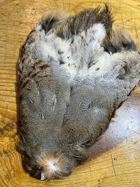 Rolled Hungarian Partridge Skin Select Partridge Feathers