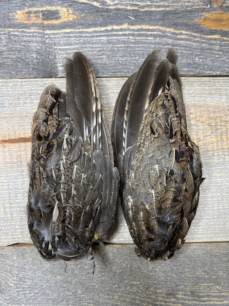 Ruffed Grouse Wing Pair Misc. Feathers