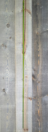 Sage MOD 6130-4 Used Used Gear