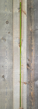 Sage MOD 7130-4 Used Used Gear