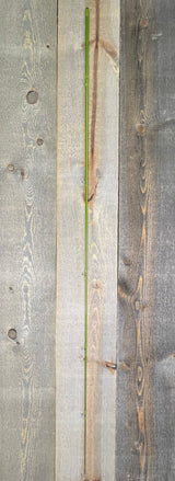 Sage MOD 7130-4 Used Used Gear