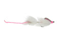 Satkowski's Quasi Modo Mouse 2 / White/Pink Flies