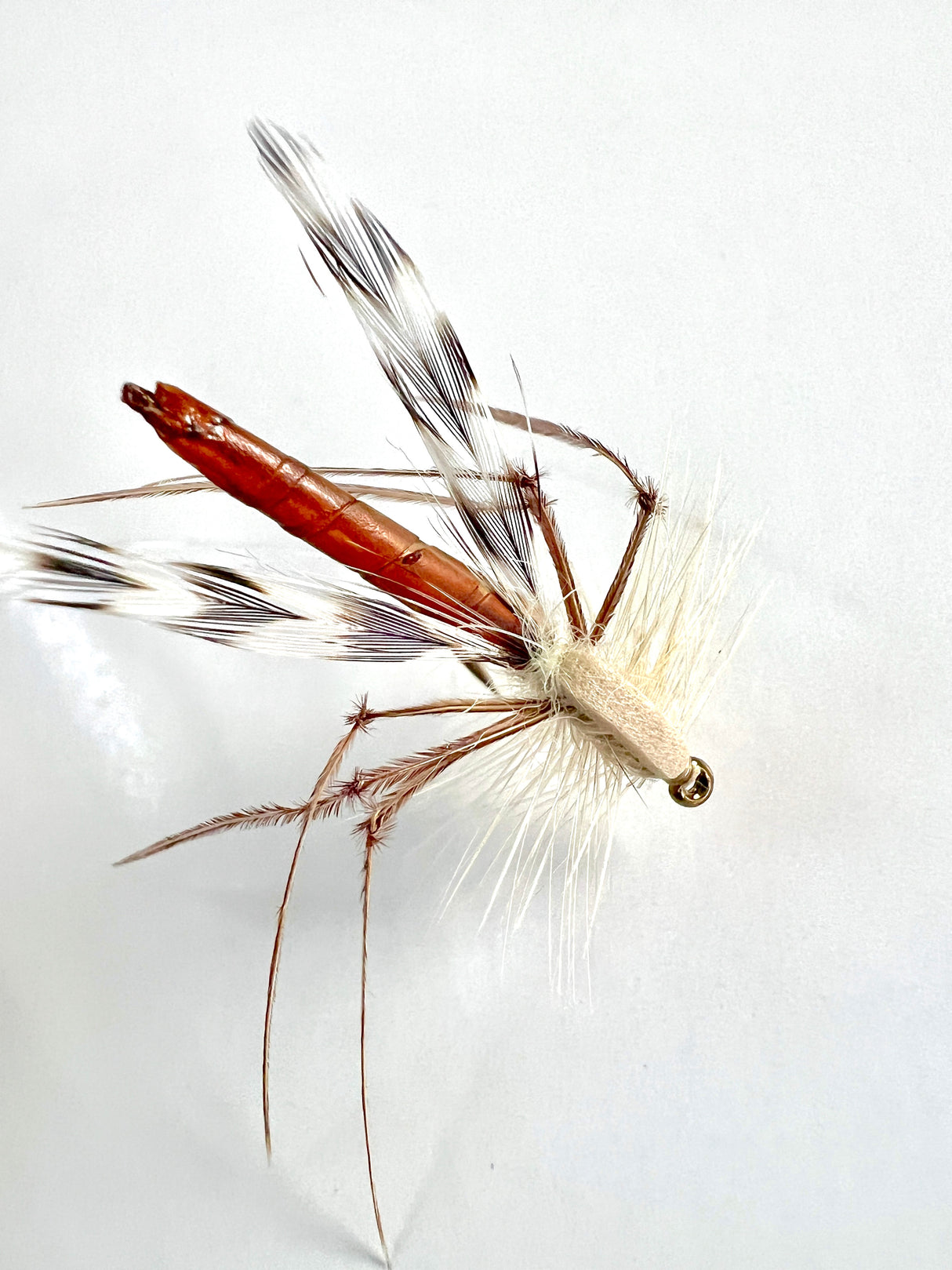 SD Cranefly Adult Tan / 10 Trout Flies