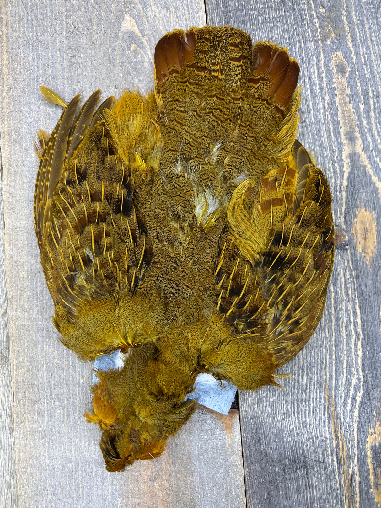 Select Complete Partridge Skin Dyed Burnt Orange Partridge Feathers