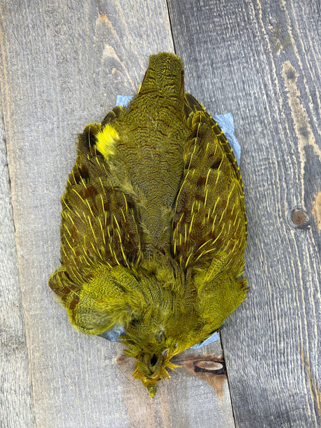 Select Complete Partridge Skin Dyed Light Olive Partridge Feathers