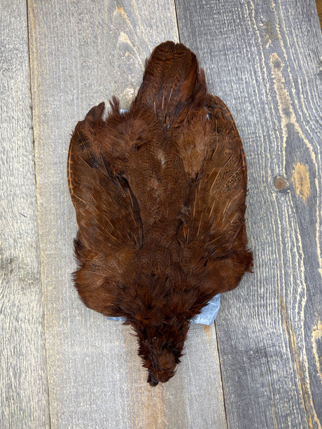 Select Complete Partridge Skin Dyed Rusty Brown Partridge Feathers