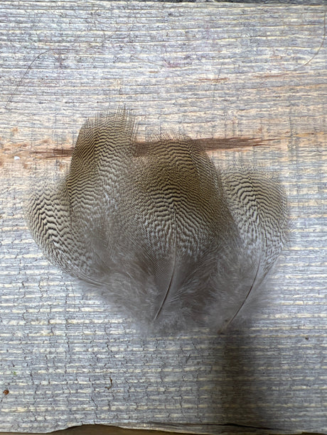 Select Wood Duck Flank 12 Feathers TG Duck & Goose Feathers