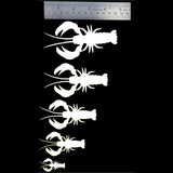 Semperfli ABC Crawdads Kit Chenilles, Body Materials