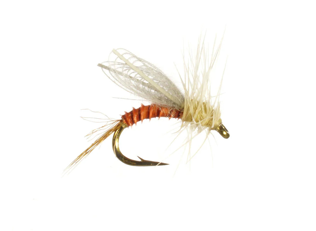 Smith's Pale Morning Dun Emerger 16 Trout Flies