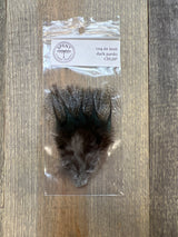 Spent Coq de Leon Feathers Dark Pardo Coq de Leon