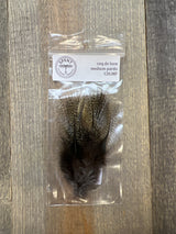 Spent Coq de Leon Feathers Medium Pardo Coq de Leon