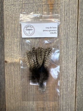 Spent Coq de Leon Feathers Penca Gruesca Coq de Leon