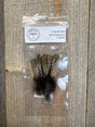 Spent Coq de Leon Feathers Penca Gruesca Coq de Leon