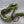 Spent Fly Fishing 3/32" Leech Cut Squirrel Strips Olive Squirrel Hair