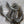 Spent Fly Fishing 3/32" Leech Cut Squirrel Strips Sculpin Olive Squirrel Hair