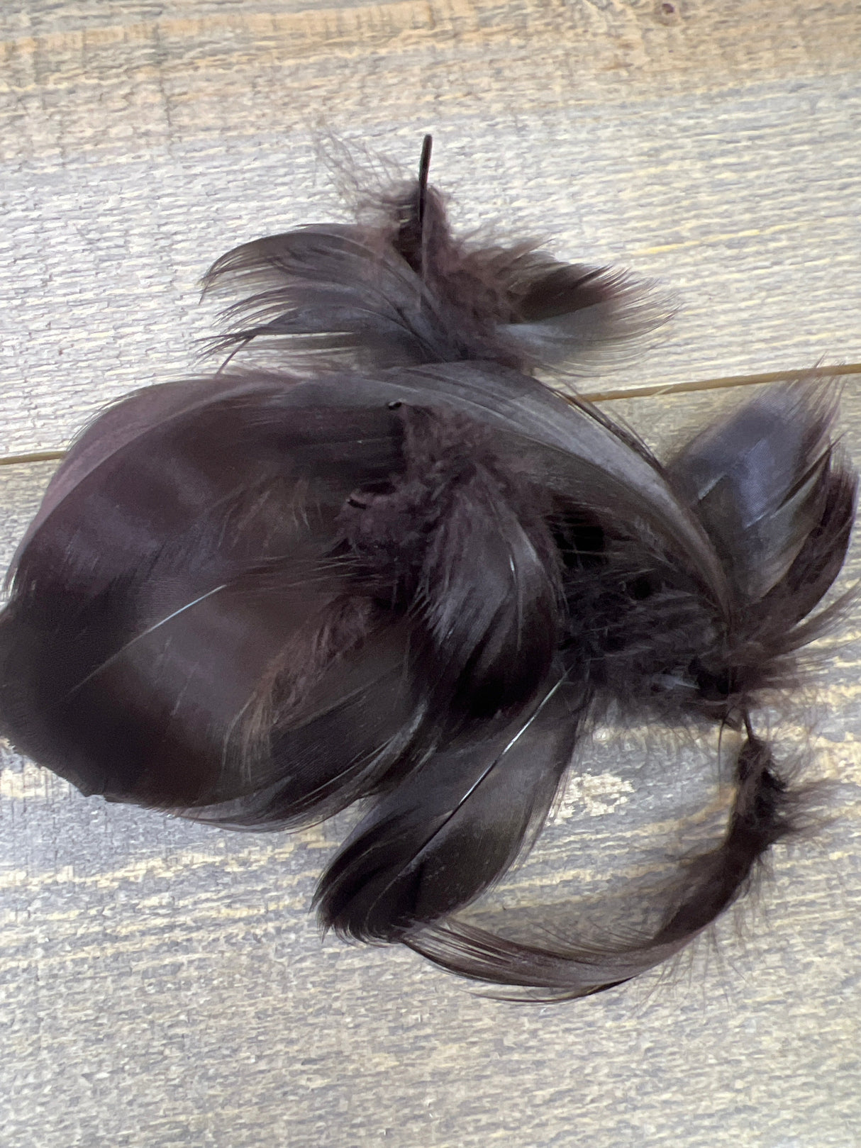 Spent Fly Fishing Bulk Mallard Flank 1/4 oz Black Duck & Goose Feathers