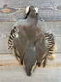 Spent Fly Fishing Chukar Partridge Select Skin Partridge Feathers