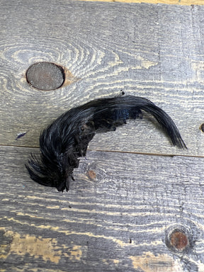 Spent Fly Fishing Dyed Golden Pheasant Crest Black Pheasant Feathers