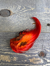 Spent Fly Fishing Dyed Golden Pheasant Crest Orange Pheasant Feathers