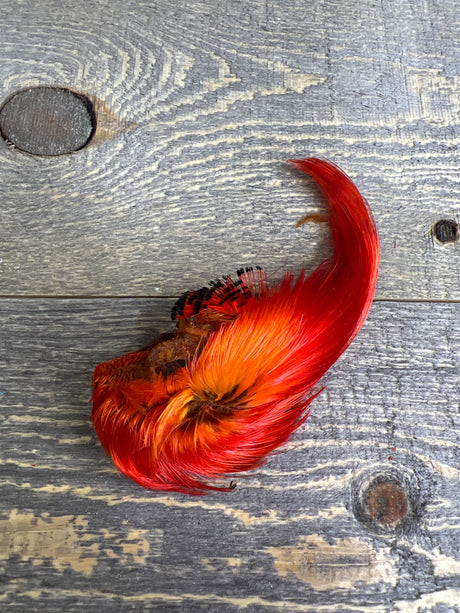 Spent Fly Fishing Dyed Golden Pheasant Crest Orange Pheasant Feathers