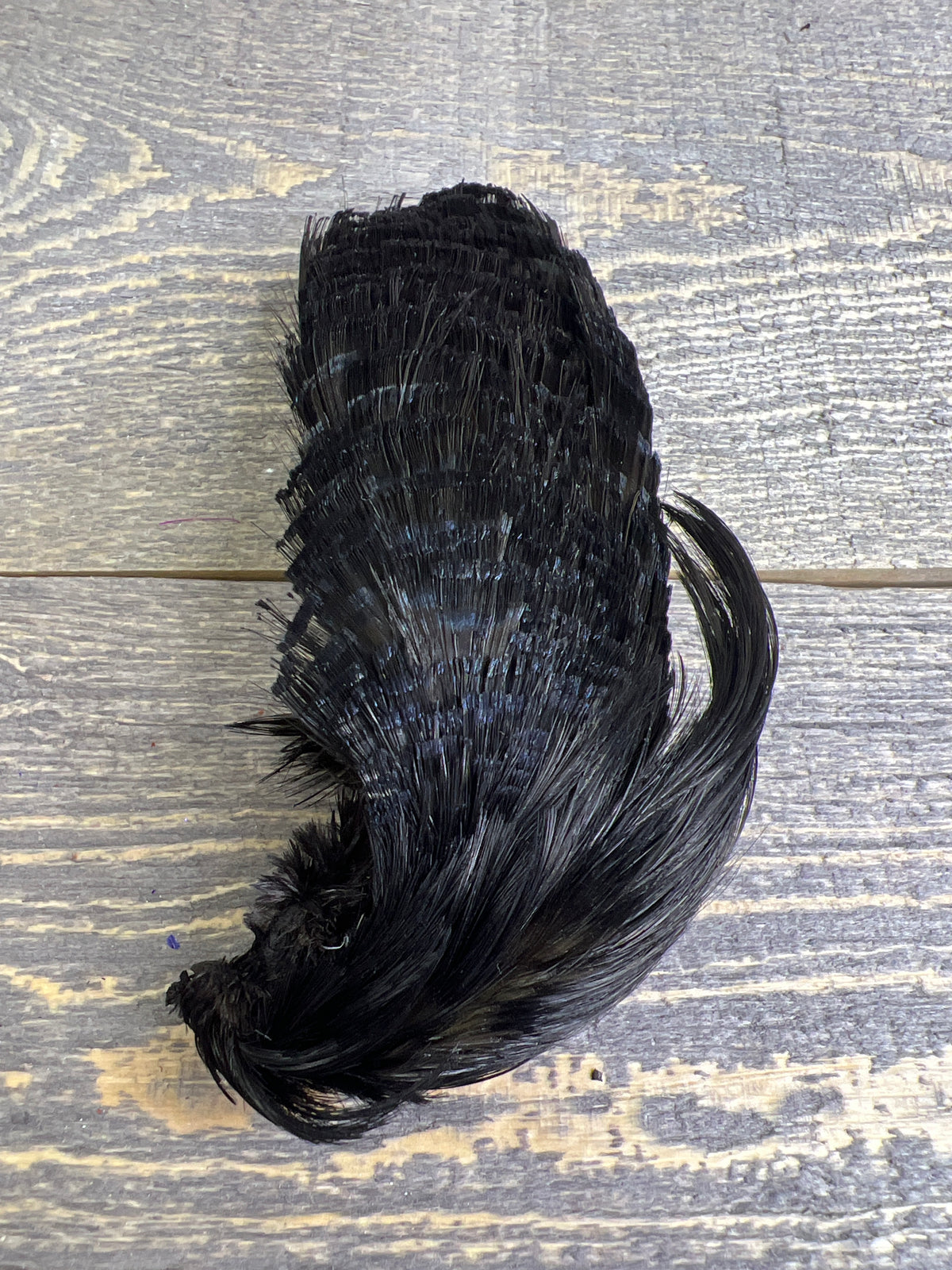 Spent Fly Fishing Dyed Golden Pheasant Head Black Pheasant Feathers