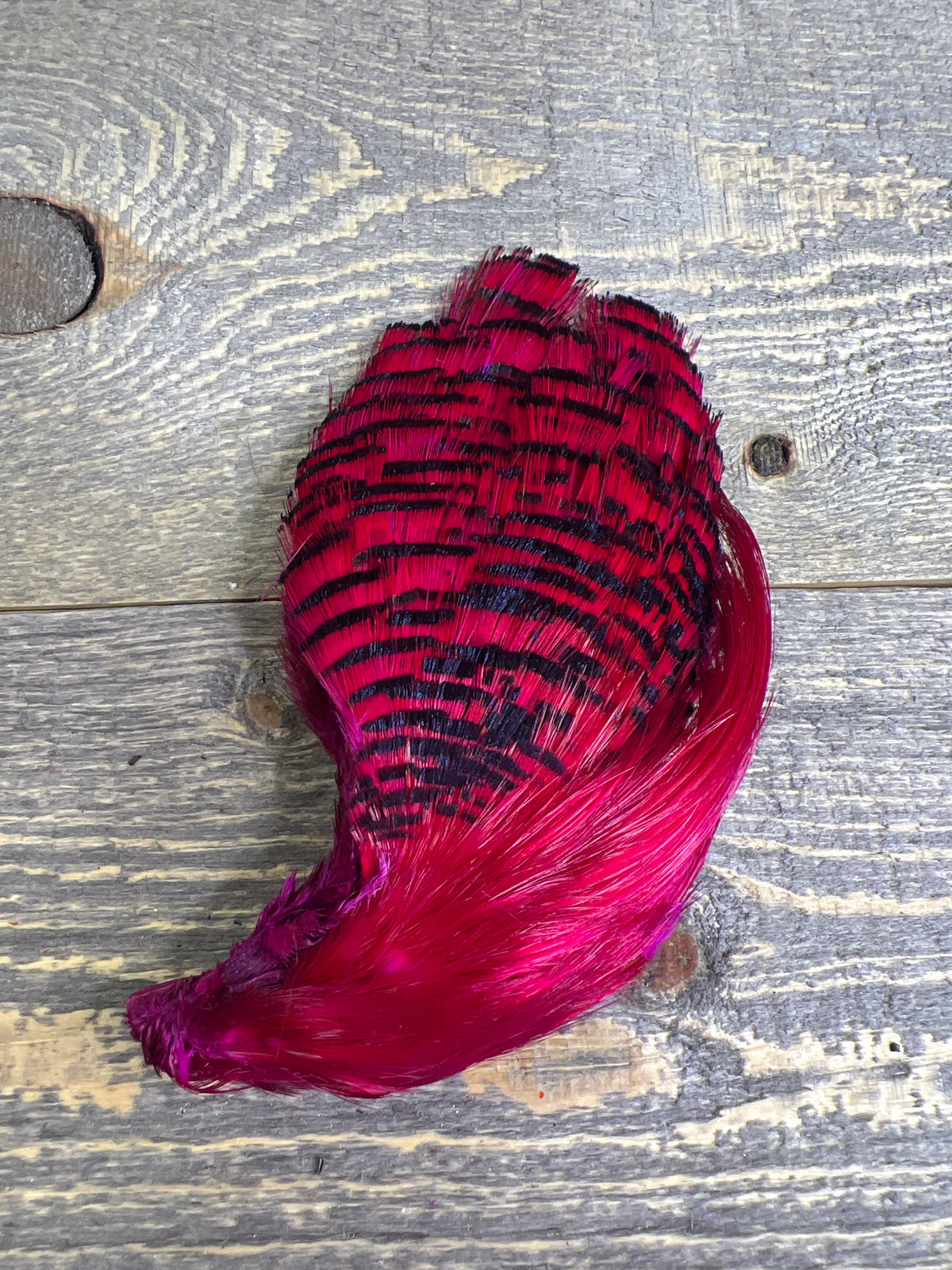 Spent Fly Fishing Dyed Golden Pheasant Head Fuschia Pheasant Feathers