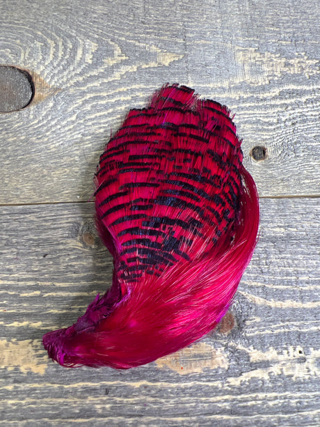 Spent Fly Fishing Dyed Golden Pheasant Head Fuschia Pheasant Feathers