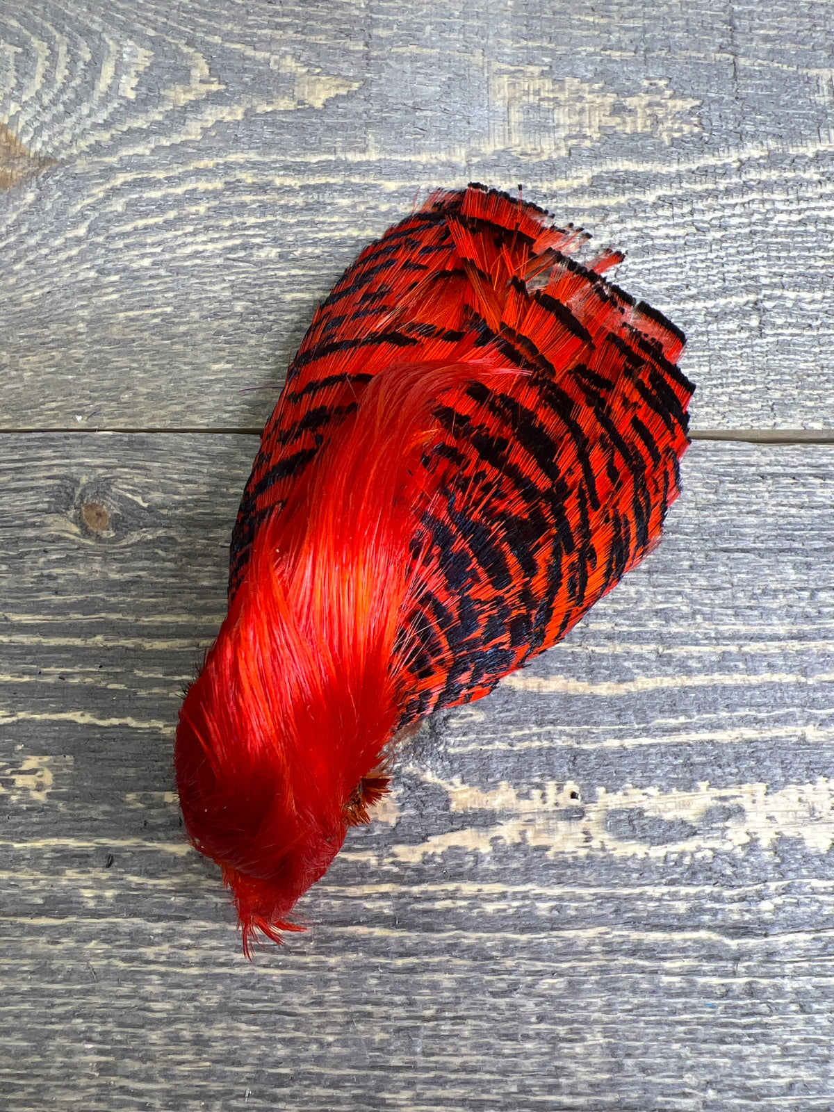 Spent Fly Fishing Dyed Golden Pheasant Head Orange Pheasant Feathers