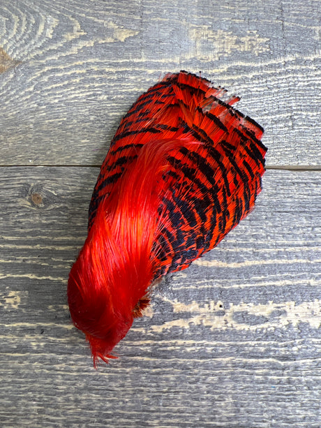 Spent Fly Fishing Dyed Golden Pheasant Head Orange Pheasant Feathers