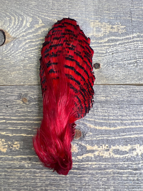 Spent Fly Fishing Dyed Golden Pheasant Head Red Pheasant Feathers