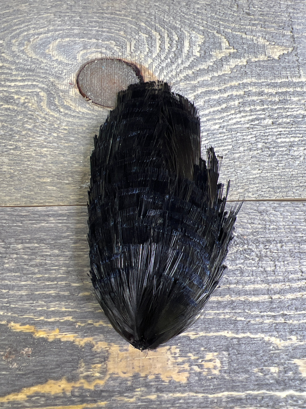 Spent Fly Fishing Dyed Golden Pheasant Tippets Black Pheasant Feathers