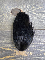 Spent Fly Fishing Dyed Golden Pheasant Tippets Black Pheasant Feathers