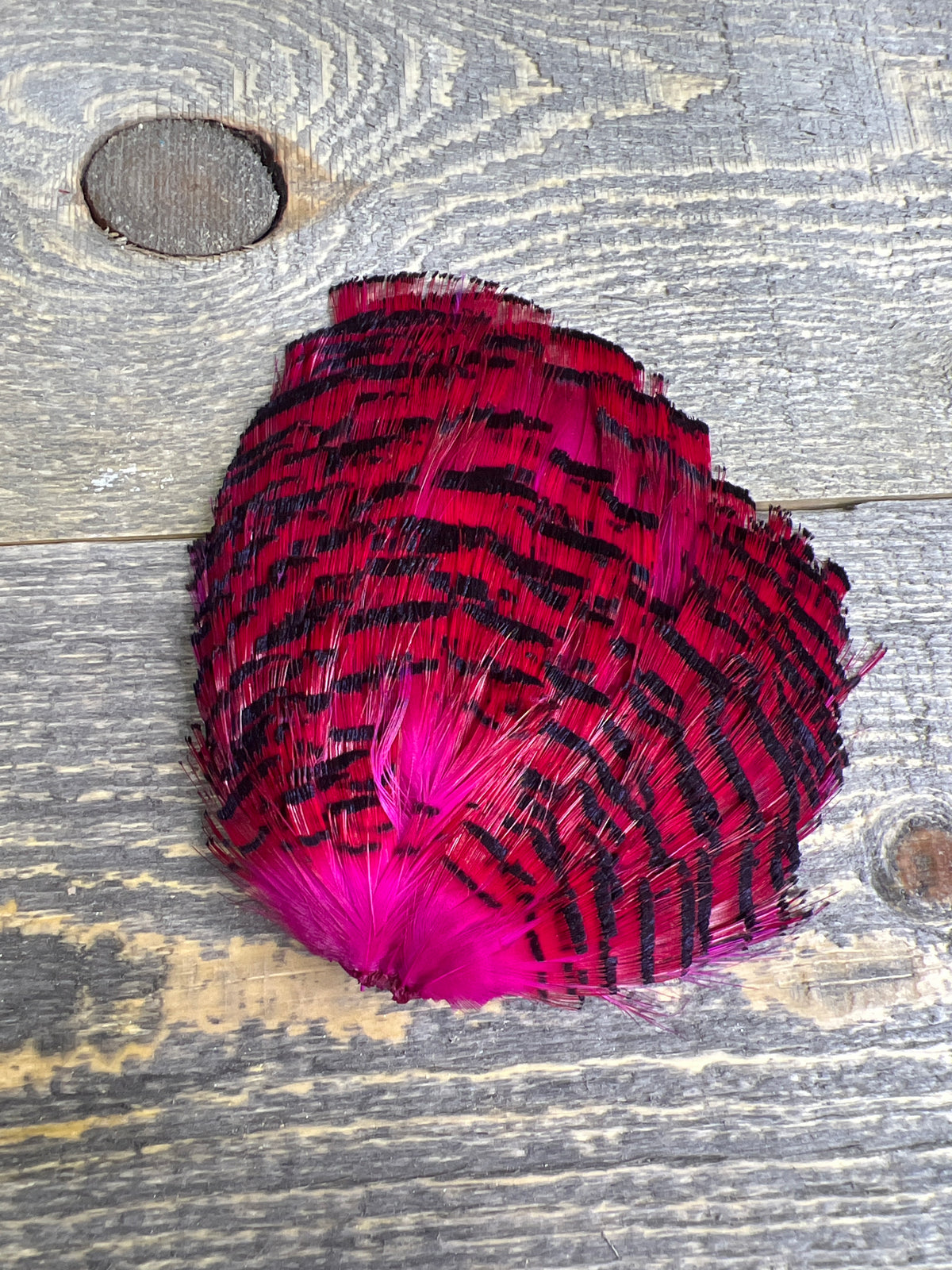 Spent Fly Fishing Dyed Golden Pheasant Tippets Fuschia Pheasant Feathers