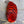 Spent Fly Fishing Dyed Golden Pheasant Tippets Orange Pheasant Feathers
