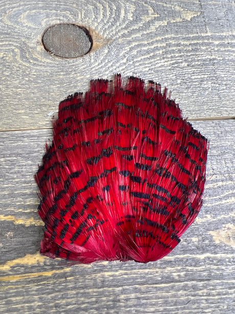 Spent Fly Fishing Dyed Golden Pheasant Tippets Red Pheasant Feathers