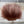 Spent Fly Fishing Finn Raccoon Large Brown Misc. Hair & Fur