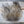 Spent Fly Fishing Finn Raccoon Large Natural Brown Misc. Hair & Fur