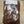 Spent Fly Fishing Hungarian Partridge Feathers Tan Partridge Feathers