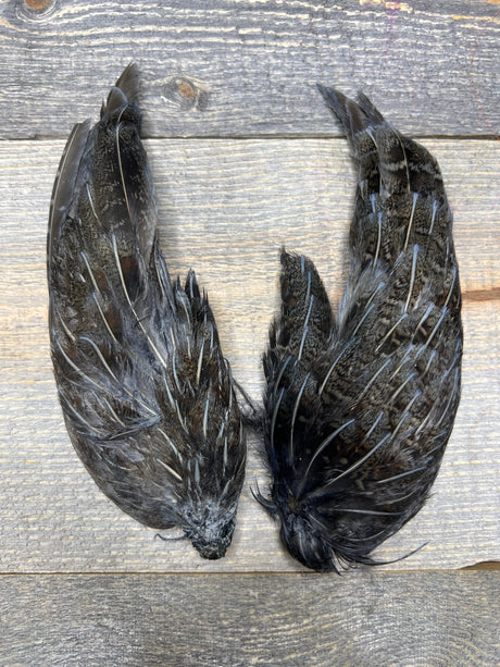 Spent Fly Fishing Hungarian Partridge Wing Pair Med Dun Partridge Feathers