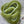 Spent Fly Fishing Mink Zonker Strips Olive Misc. Hair & Fur