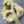 Spent Fly Fishing Mink Zonker Strips Tan Misc. Hair & Fur